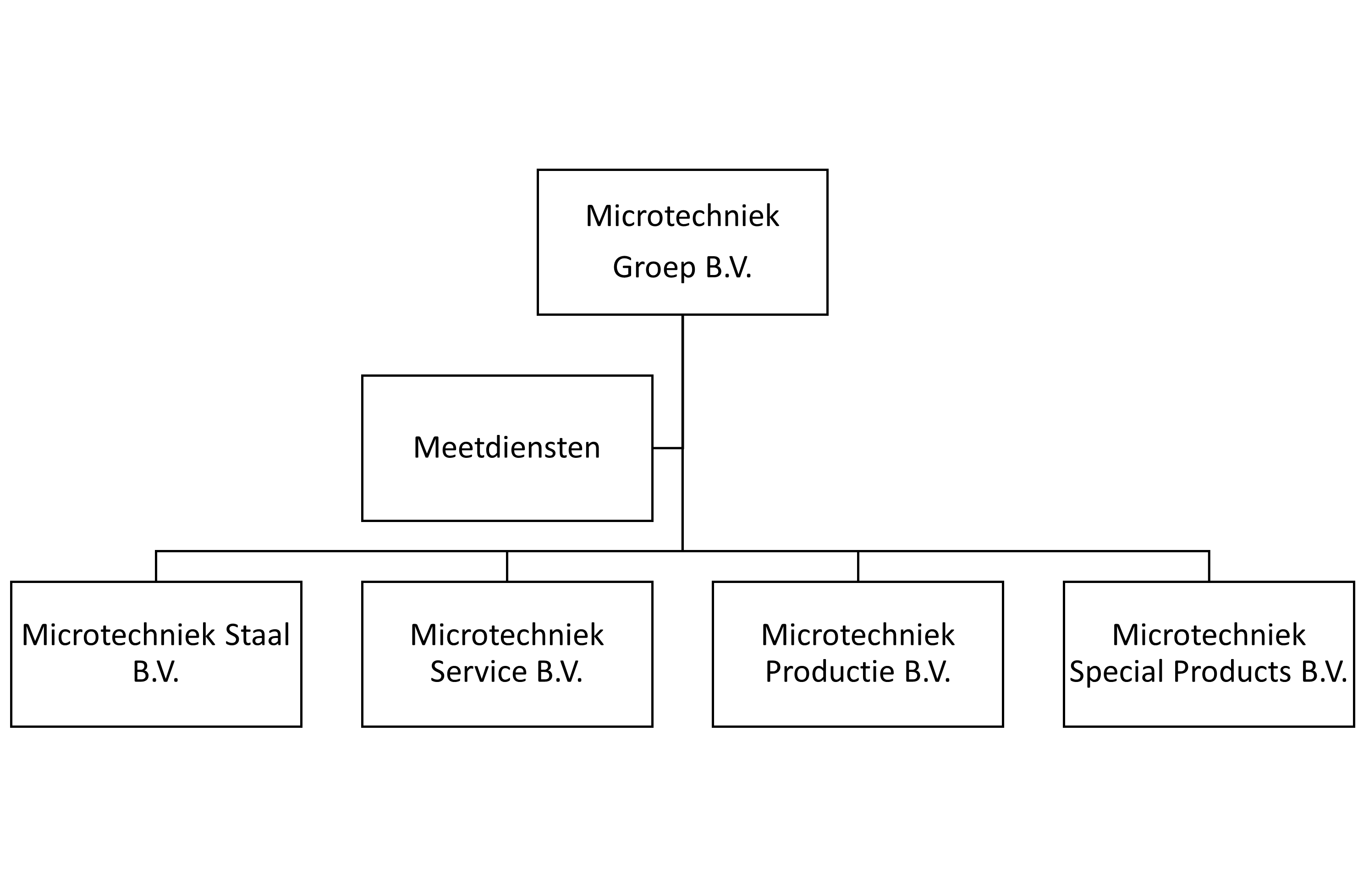 MT organogram